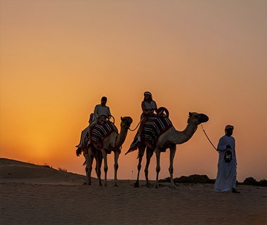 Dubai Quad Bike with Sandboarding and Camel Ride