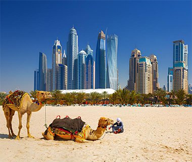 The Best Camel Ride in Dubai
