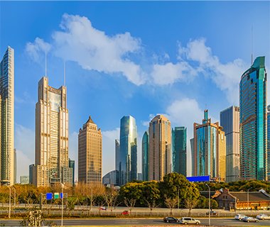 Full-Day Abu Dhabi City Tour from Dubai